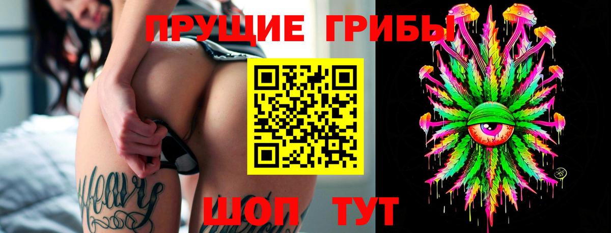 Псилоцибиновые грибы Cubensis  Галлюциногенные грибы GOLDEN TEACHER  Хасавюрт  Вход с VPN 